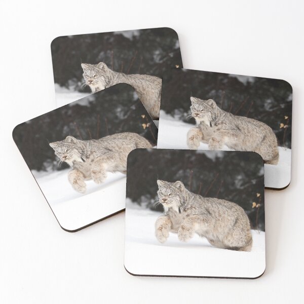 Item preview, Canada Lynx designed and sold by mlorenz.