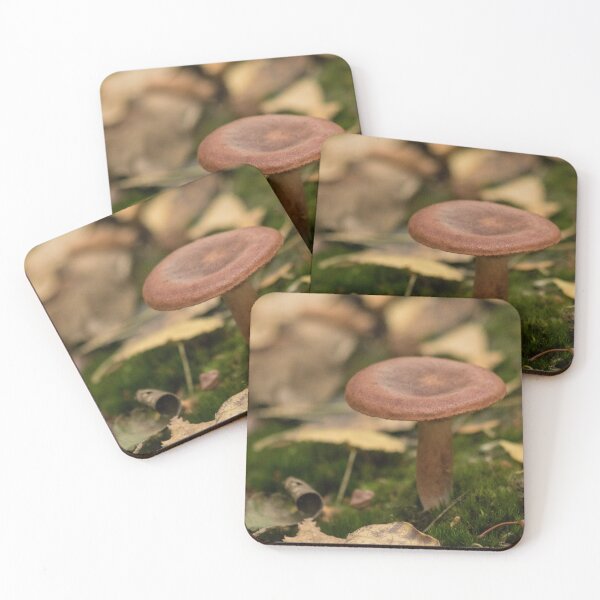 Item preview, Mushroom Fungi Nature Photo designed and sold by Dan Newton.