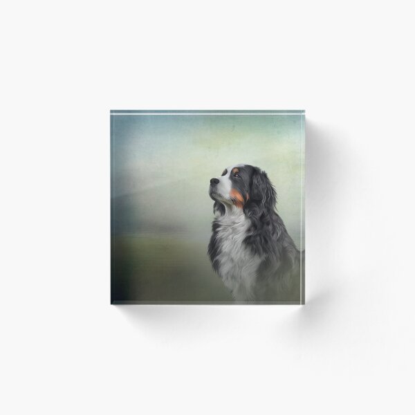 Item preview, Bernese Mountain Dog. Drawing, illustration funny dog designed and sold by bonidog.