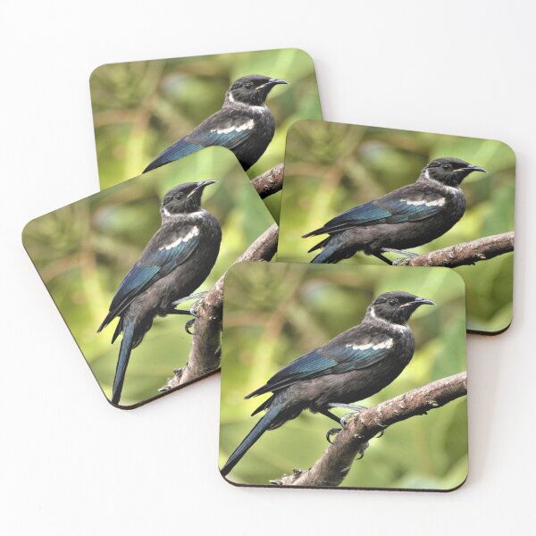 Item preview, YOUNG TUI - Standing proud. designed and sold by Roy  Massicks.