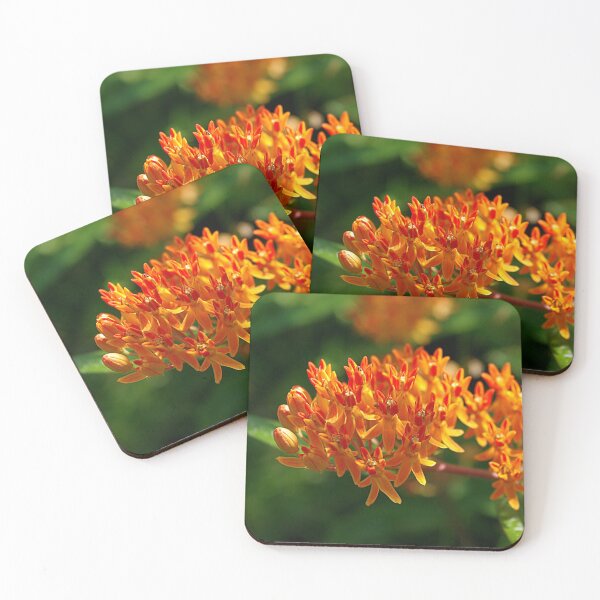 Item preview, Butterflyweed designed and sold by rvjames.