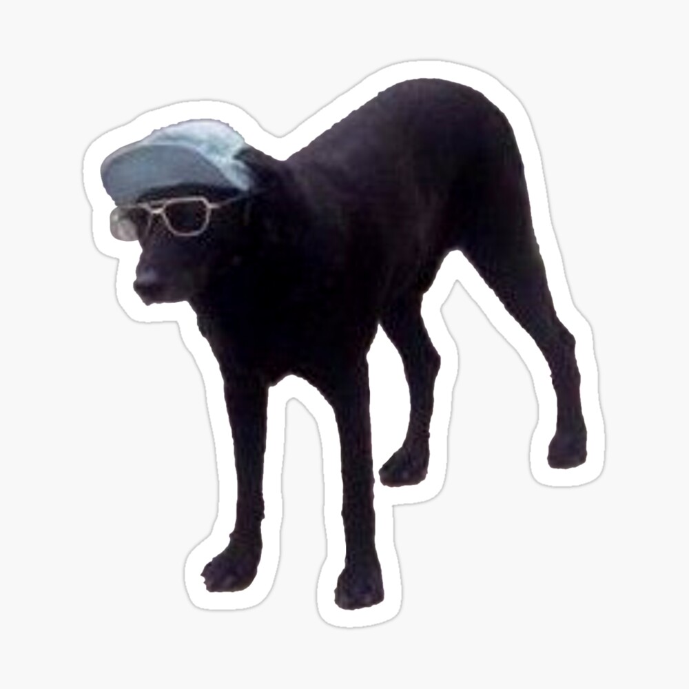 dog with hat glasses Socks for Sale by PigSucculent Redbubble