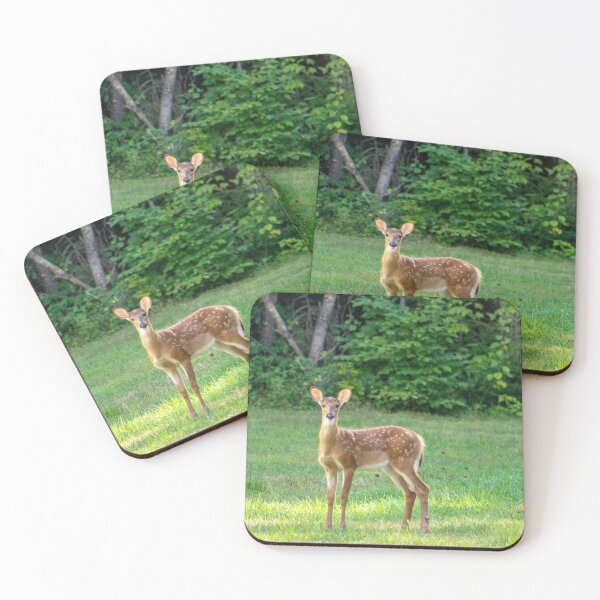 Item preview, Whitetail deer fawn designed and sold by cdbeemer.