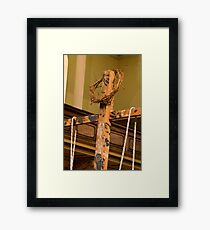 0231 The Crown of Thorns Framed Print