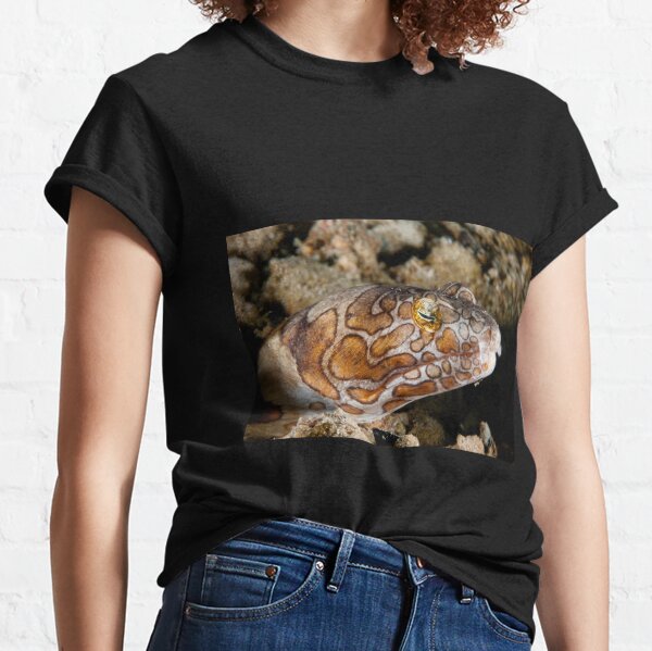Napoleon Snake Eel, Wakatobi National Park, Indonesia Classic T-Shirt