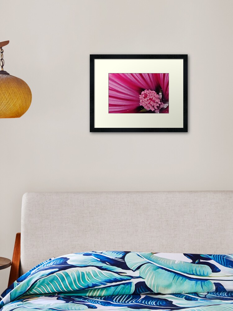 Thumbnail 1 of 7, Framed Art Print, Pink Flower designed and sold by Paul Eden.