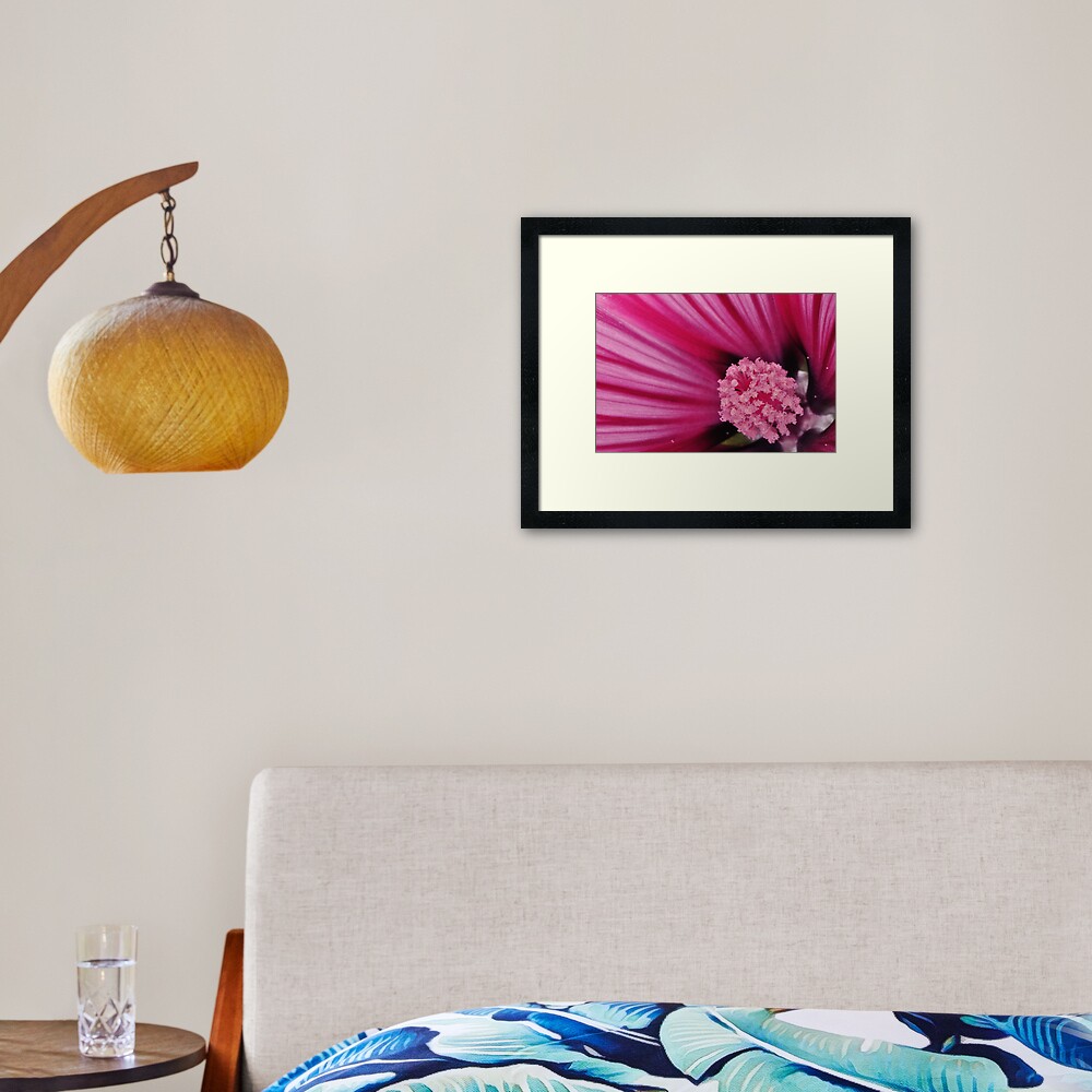 Pink Flower Framed Art Print