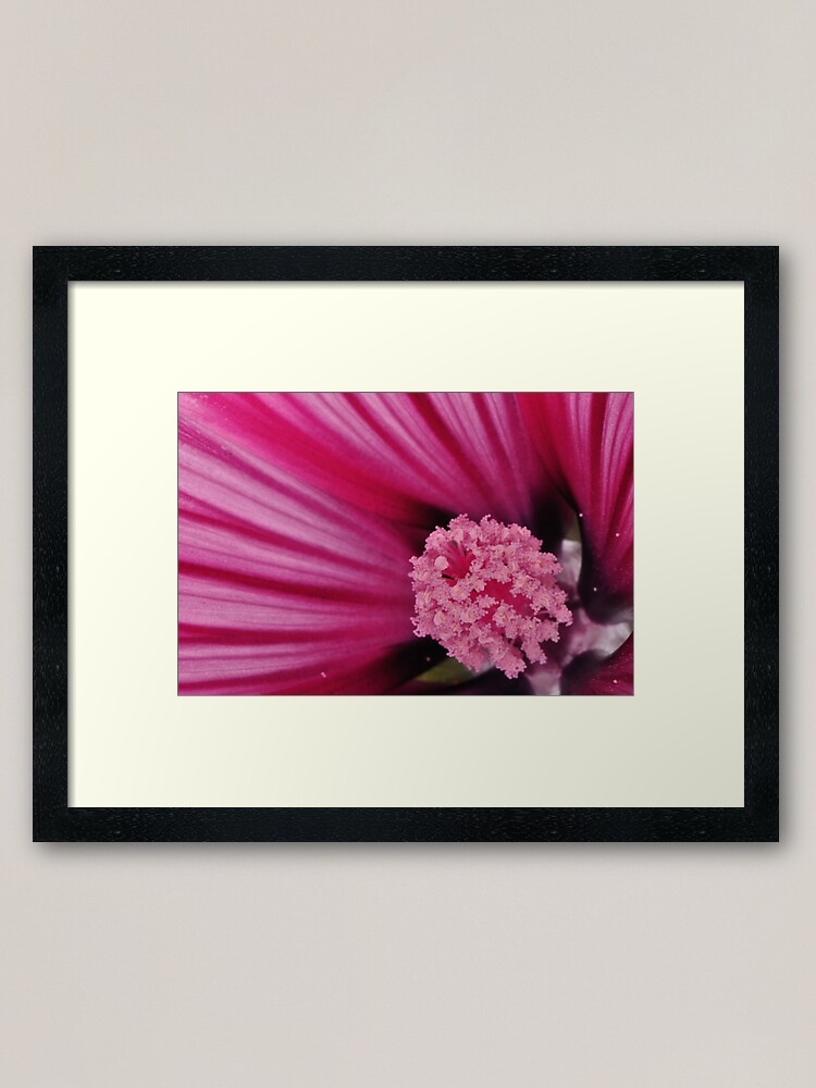 Alternate view of Pink Flower Framed Art Print