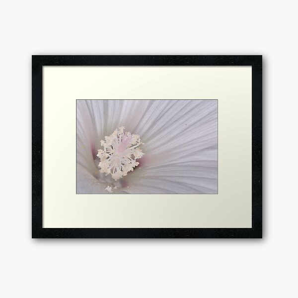 Crystal Flower Framed Art Print