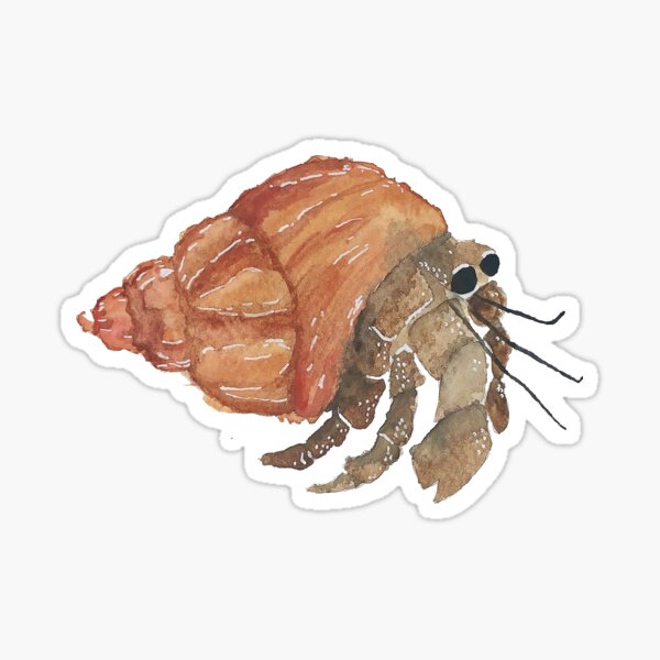 Einsiedlerkrebs Geschenke Merchandise Redbubble