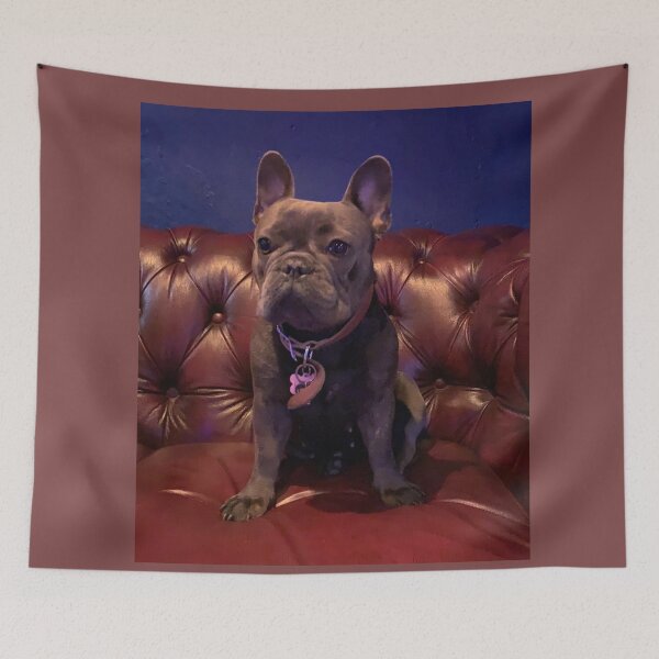 Item preview, Bulldog francés designed and sold by vibeno1.