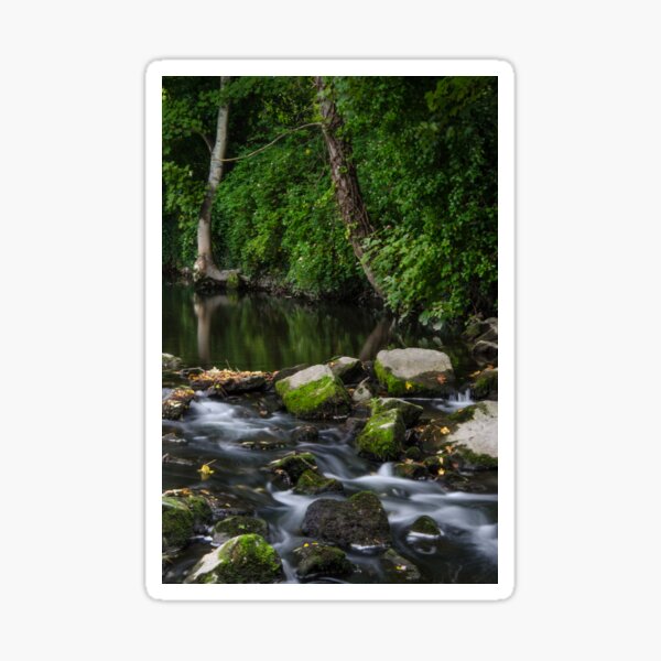 River Tolka, National Botanic Gardens, Dublin Sticker