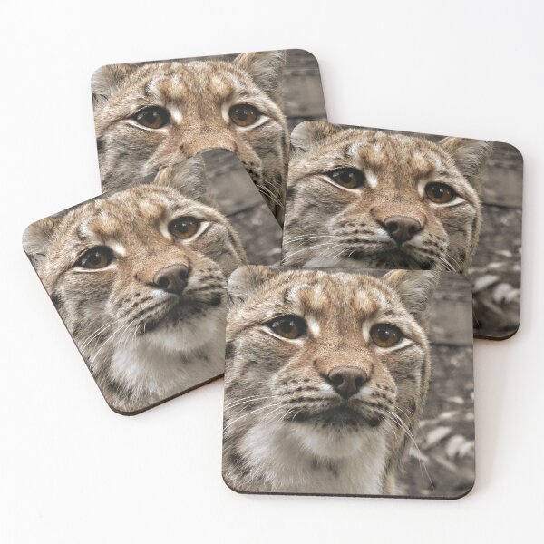 Item preview, Carpathian Lynx designed and sold by Yampimon.