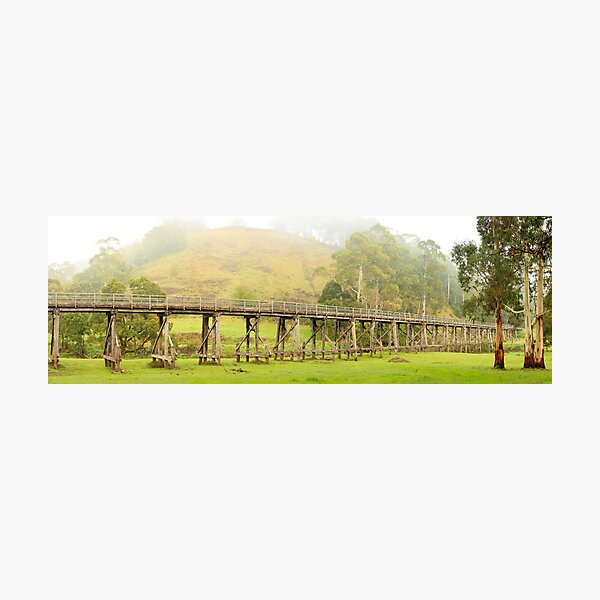 Item preview, Foggy Trestle Bridge, Timboon, Victoria, Australia designed and sold by Michael Boniwell.