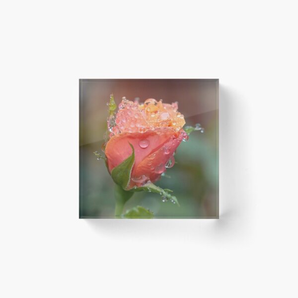 Item preview, Dew Kissed designed and sold by Josette Halls.
