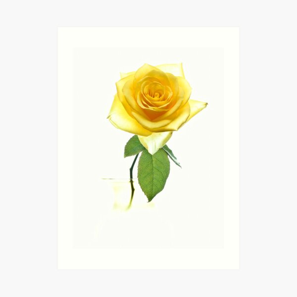 Fantasy Rose Art Print