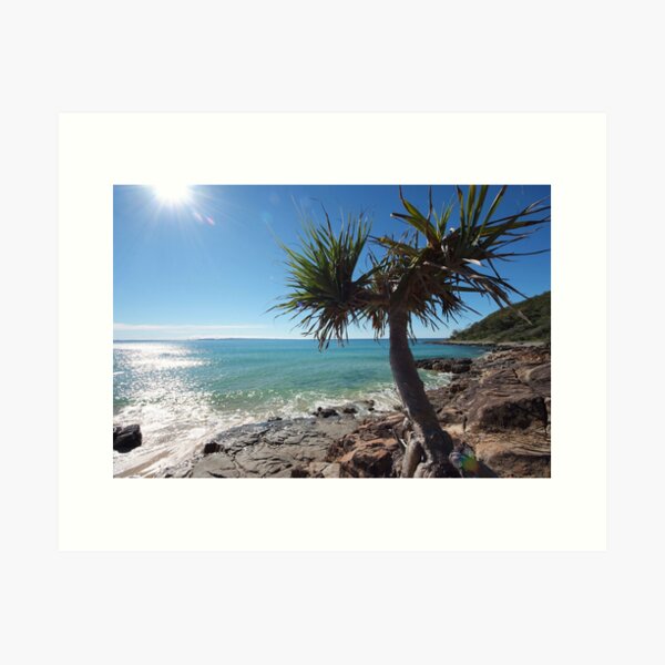 Pandanus over Granite Art Print