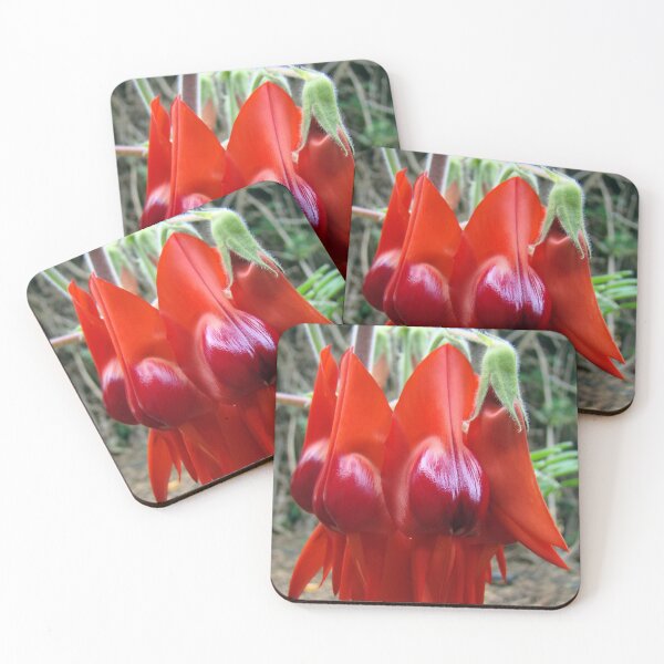 Item preview, Sturt's Desert Pea designed and sold by Jan Stead JEMproductions.