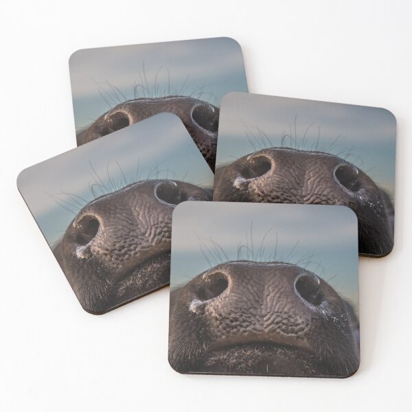 Item preview, The Curious Cow Close Up. designed and sold by Rob-Turner.