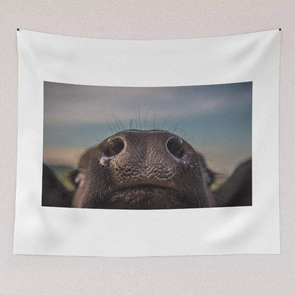 Item preview, The Curious Cow Close Up. designed and sold by Rob-Turner.