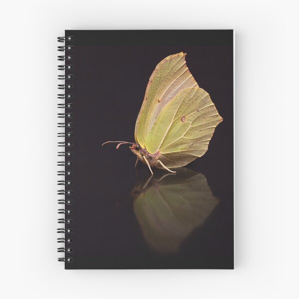 Item preview, Brimstone Butterfly Portrait designed and sold by Dan Newton.