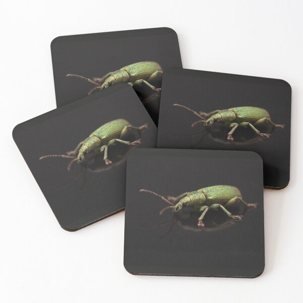 Item preview, Green Nettle Weevil Portrait designed and sold by Dan Newton.
