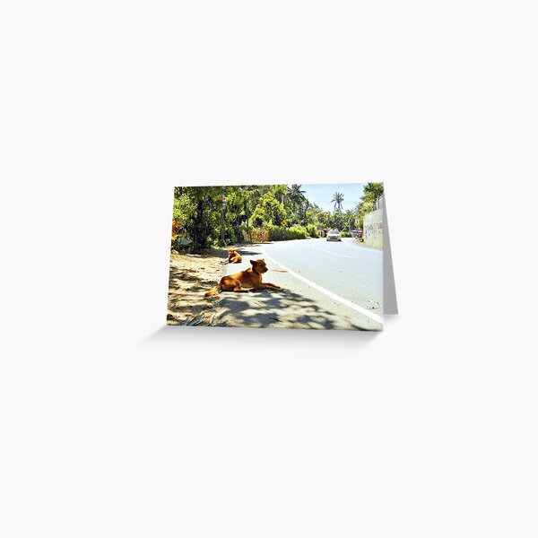 Hot Dog (please see description) Greeting Card