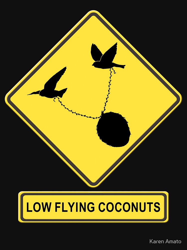 Low Flying Coconuts by karenamato