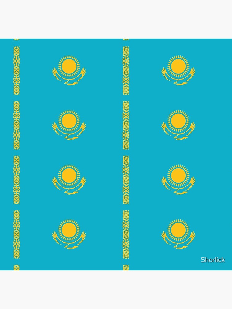 Aperçu 3 sur 3. Coussin avec l'œuvre Drapeau du Kazakhstan créée et vendue par Shorlick.
