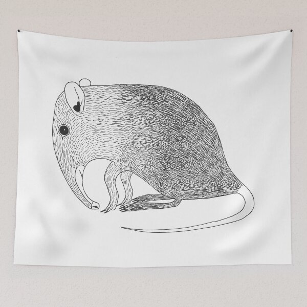 Item preview, Elephant Shrew (ink illustrations of weird animals that are real) designed and sold by InkDier.