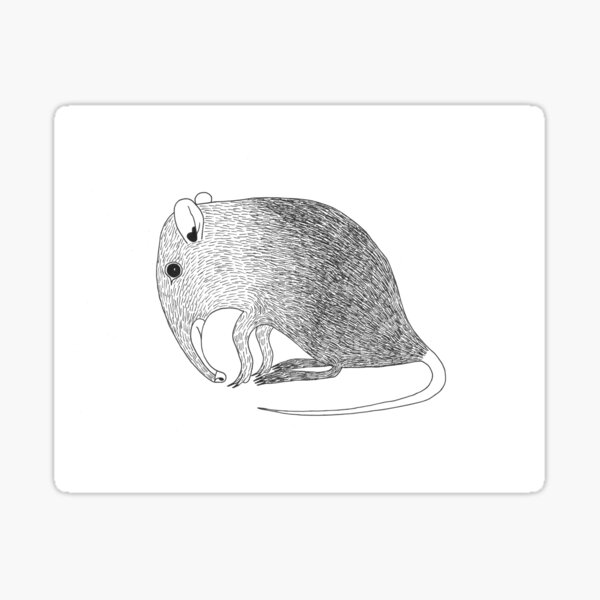 Elephant Shrew (ink illustrations of weird animals that are real) Sticker