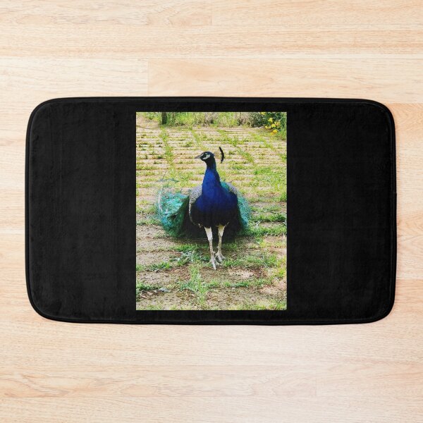 Item preview, Proud Parading Peacock designed and sold by KazM.