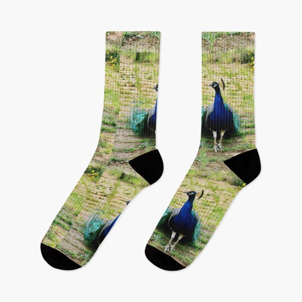 Item preview, Proud Parading Peacock designed and sold by KazM.
