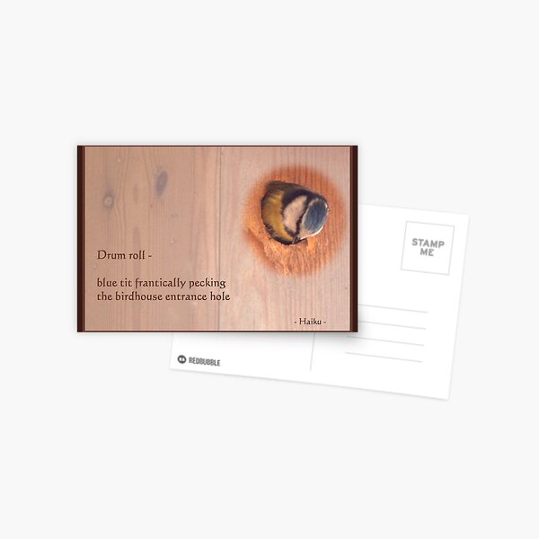 Haiku - Drum Roll Postcard