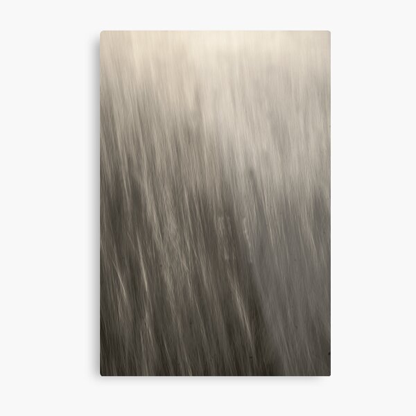 Can You Hear - An Abstract Expressionism - Kitty Todd Nature Preserve Metal Print