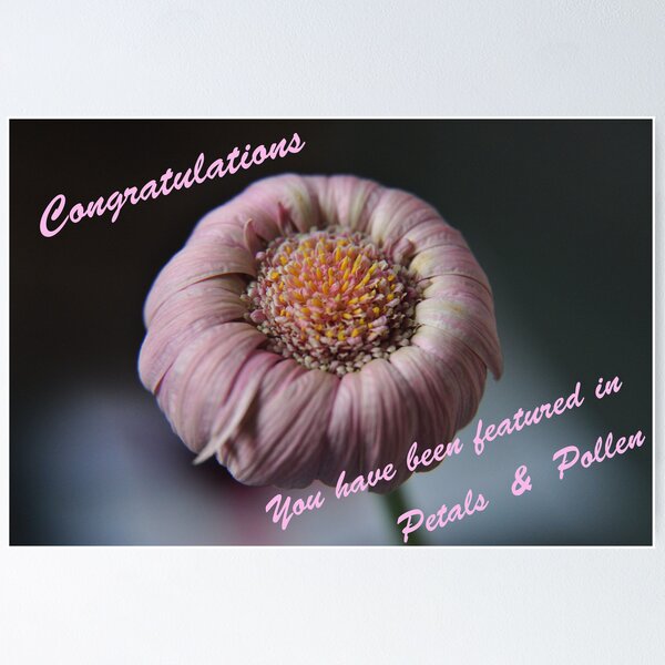 Artikel-Vorschau.