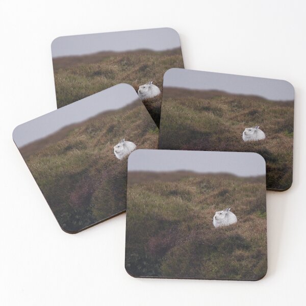 Item preview, Mountain Hare in the Peak District designed and sold by Dan Newton.