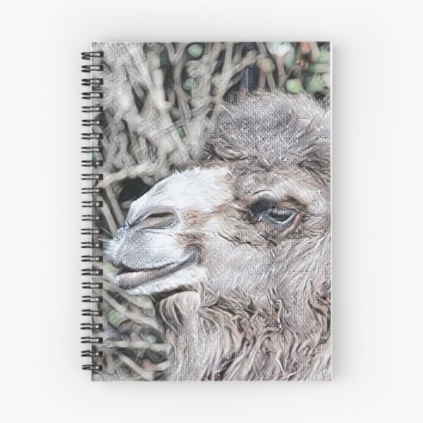 Item preview, Critically Endangered - Bactrian Camel designed and sold by Bluelizzy.