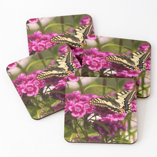 Item preview, Swallowtail Butterfly in the Norfolk Broads designed and sold by Dan Newton.
