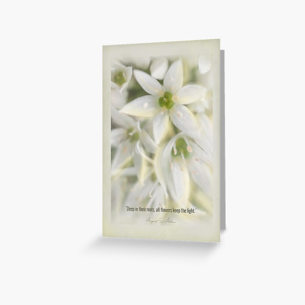 The Magic of Flowers Greeting Card