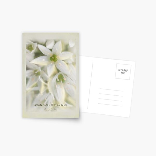 The Magic of Flowers Postcard