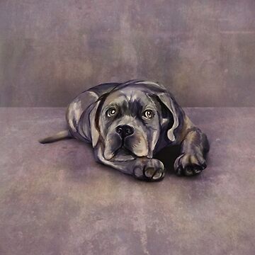 Artwork thumbnail, Cane Corso - Italian Mastiff Puppy by k9printart