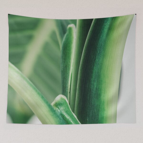 Item preview, Dieffenbachia Sterling Shades of Green designed and sold by Chee Sim.