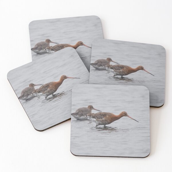 Item preview, Black-tailed Godwit designed and sold by Dan Newton.