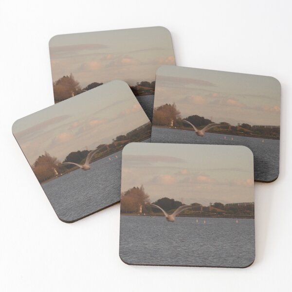 Item preview, Shoreline Park Lake Panorama. Mountain View, California designed and sold by Igor Pozdnyakov.