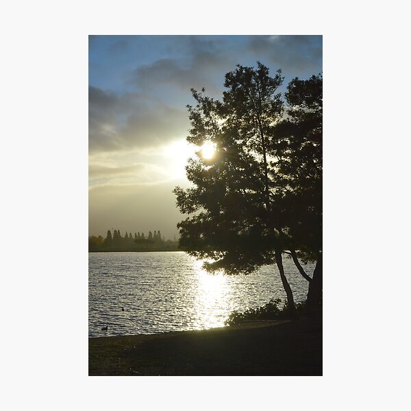 Item preview, Shoreline Park Lake. Mountain View, California designed and sold by Igor Pozdnyakov.