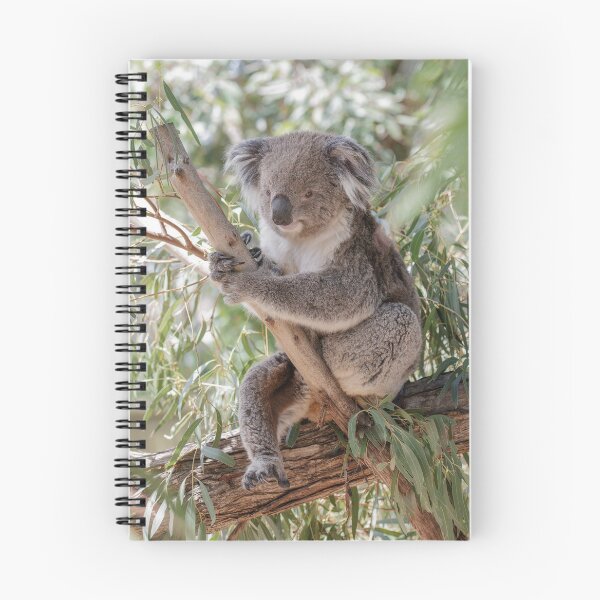 Item preview, Koala  designed and sold by Dawn van Doorn.