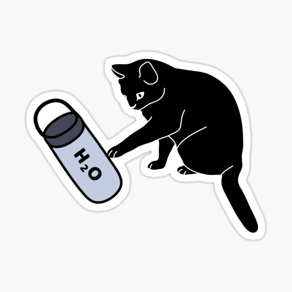 Cute Black Cat Water Bottle