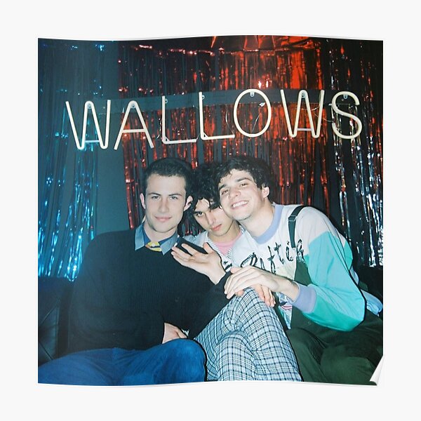 Wallows Poster