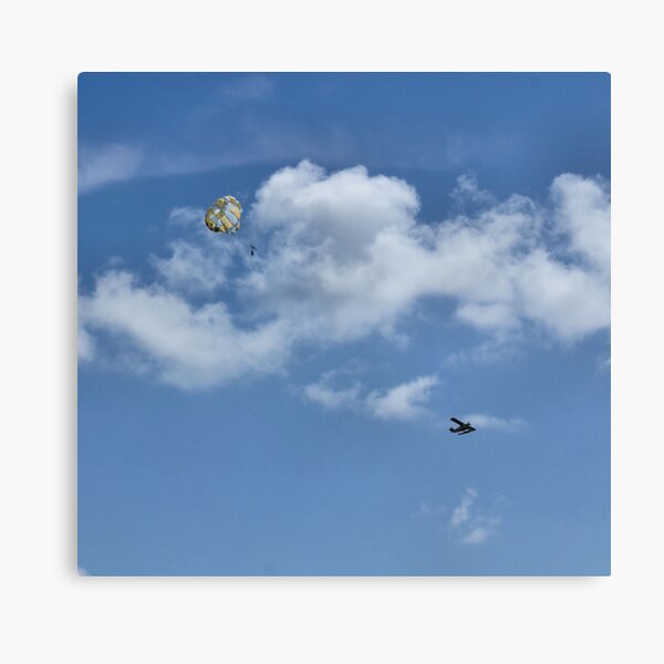 fly me home Canvas Print